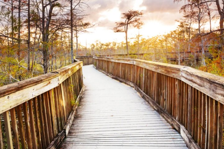 Everglades Immersion Tour: The Ultimate Everglades Adventure - Photo 1 of 6